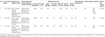 Kawasaki Disease Complicated With Macrophage Activation Syndrome: Case Reports and Literature Review